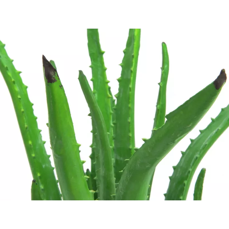 EUROPALMS τεχνητό φυτό Aloe Vera σε μαύρη γλάστρα, 63cm 82809112