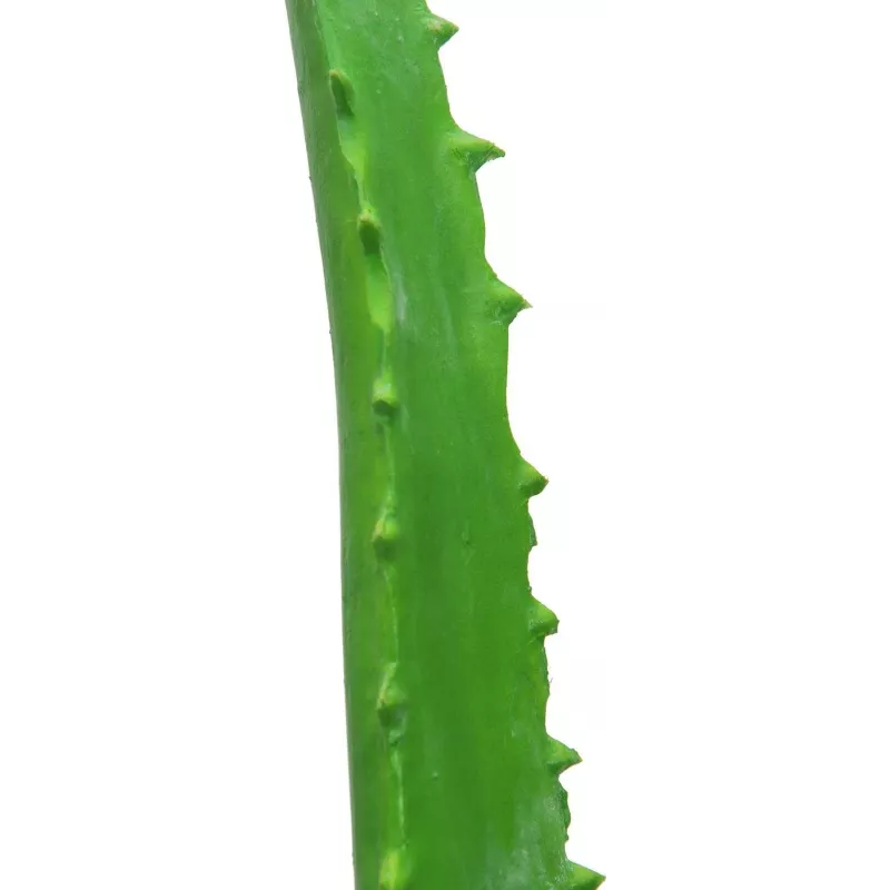 EUROPALMS τεχνητό φυτό Aloe Vera σε μαύρη γλάστρα, 63cm 82809112