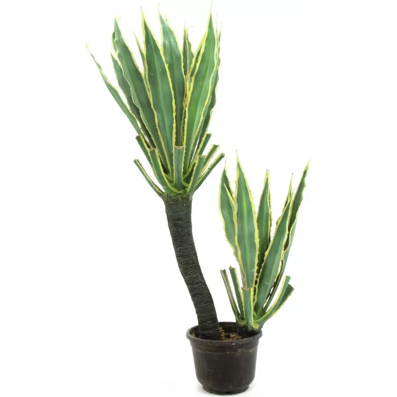 EUROPALMS τεχνητό φυτό ορχιδέα κάκτος, 160cm 82809035