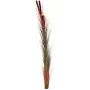 EUROPALMS Τεχνητό Καλάμι με Στάχυα, Ανοιχτό Καφέ, 152cm 82505856