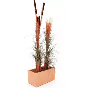 EUROPALMS Τεχνητό Καλάμι με Στάχυα, Ανοιχτό Καφέ, 152cm 82505856