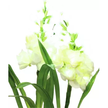 EUROPALMS Αροντού, Σετ 3 τεμ. με LEDs, Λευκό, 85cm (83330302)