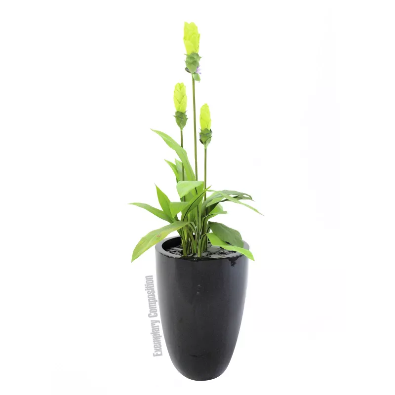 Europalms LEICHTSIN CUP-69 Γλάστρα, μαύρο, γυαλιστερό (83011819)