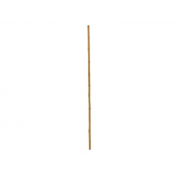 EUROPALMS Κοντάρι μπαμπού, Ø 3 cm, μήκος 200 cm 83313200