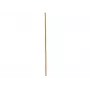 EUROPALMS Κοντάρι μπαμπού, Ø 3 cm, μήκος 200 cm 83313200