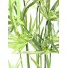 EUROPALMS Τεχνητό κυπερόχορτο, 76cm, σε μαύρη γλάστρα 82600138
