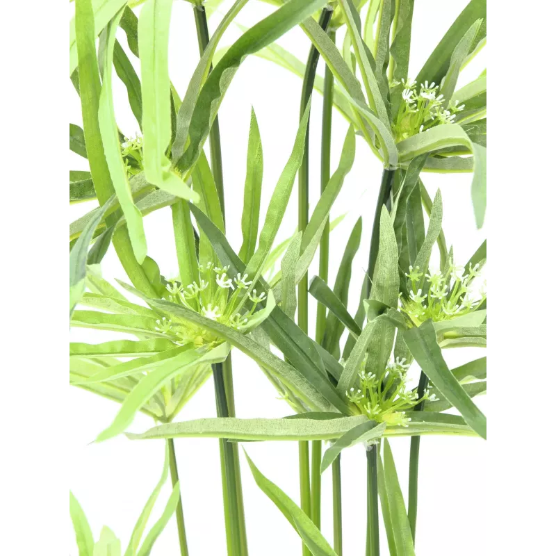 EUROPALMS Τεχνητό κυπερόχορτο, 76cm, σε μαύρη γλάστρα 82600138