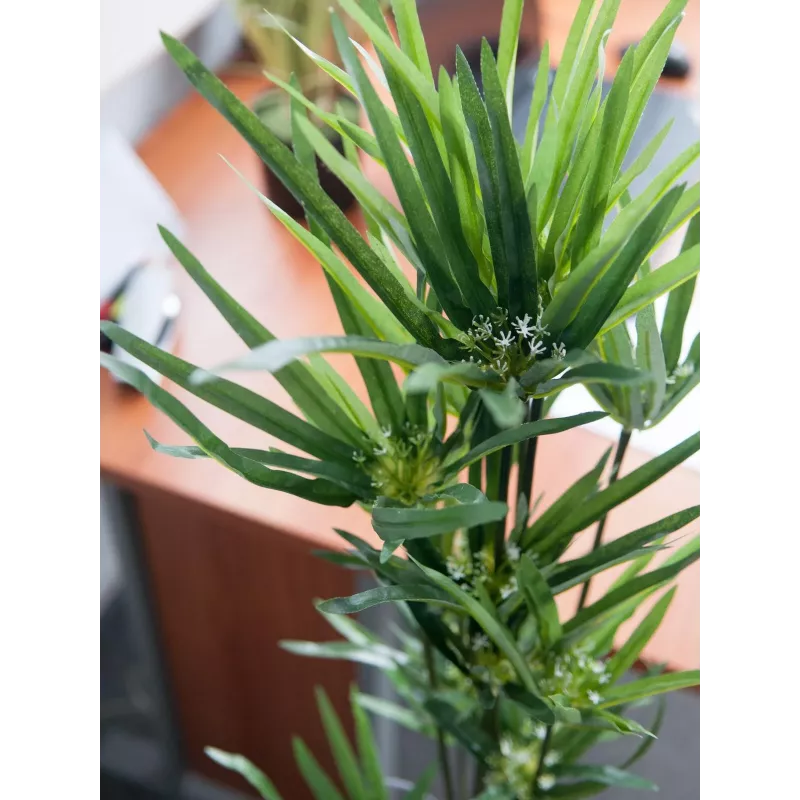 EUROPALMS Τεχνητό κυπερόχορτο, 76cm, σε μαύρη γλάστρα 82600138