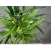 EUROPALMS Τεχνητό κυπερόχορτο, 76cm, σε μαύρη γλάστρα 82600138
