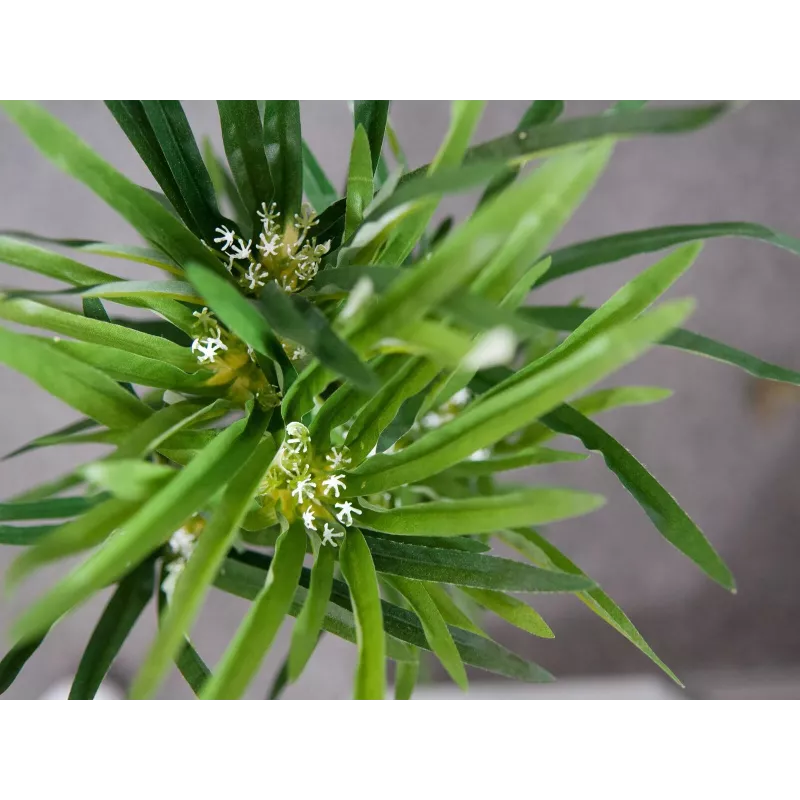 EUROPALMS Τεχνητό κυπερόχορτο, 76cm, σε μαύρη γλάστρα 82600138