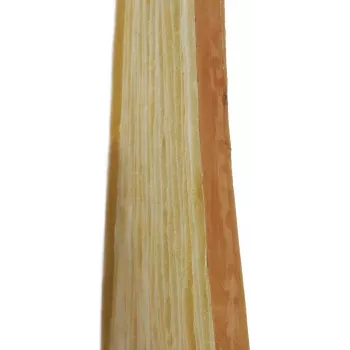 EUROPALMS Πάνελ τοίχου μπαμπού 100x100cm Φυσική διακοσμητική πλάκα 83313220