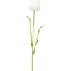 EUROPALMS Crystal Tulip Τεχνητό λουλούδι, λευκό, 61cm, συσκευασία 12 τεμ. (82600204)