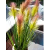 EUROPALMS Γρασίδι, τεχνητό, ροζέ, 90cm 82505865