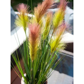 EUROPALMS Γρασίδι, τεχνητό, ροζέ, 90cm 82505865