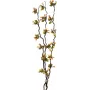 EUROPALMS Κλαδιά Torfmyrte με LED, 180 cm 83330312