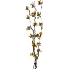 EUROPALMS Κλαδιά Torfmyrte με LED, 180 cm 83330312
