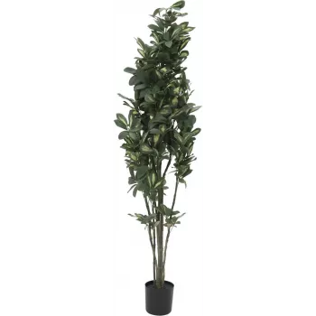 EUROPALMS Schefflera τεχνητό φυτό, 120cm, πράσινο 82600157