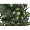 EUROPALMS Schefflera τεχνητό φυτό, 120cm, πράσινο 82600157