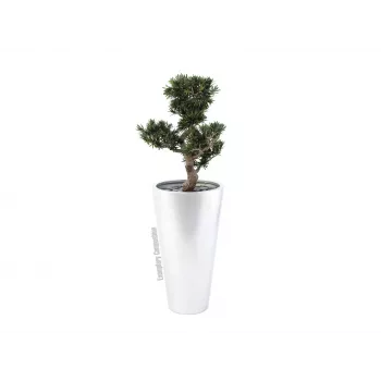 EUROPALMS Leichtsin Elegance-69 Ασημί Γυαλιστερή διακοσμητική φιγούρα 83011856