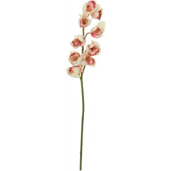 EUROPALMS Τεχνητό κλαδί Cymbidium, Κρεμ-Ροζ, 90cm 82530311