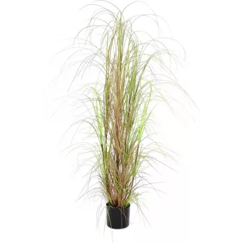 EUROPALMS Τεχνητός θάμνος γρασιδιού, 150cm, Πράσινο, Διακόσμηση εσωτερικού χώρου 82600127