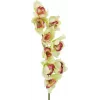 EUROPALMS Τεχνητό κλαδί ορχιδέας Cymbidium, Πράσινο, 90cm 82530313