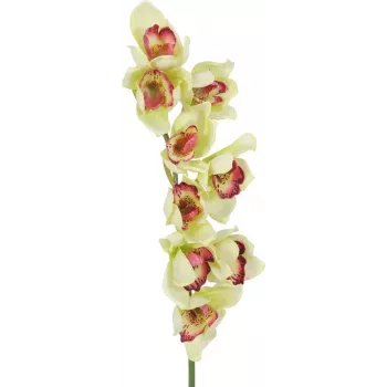 EUROPALMS Τεχνητό κλαδί ορχιδέας Cymbidium, Πράσινο, 90cm 82530313