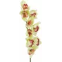EUROPALMS Τεχνητό κλαδί ορχιδέας Cymbidium, Πράσινο, 90cm 82530313