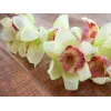 EUROPALMS Τεχνητό κλαδί ορχιδέας Cymbidium, Πράσινο, 90cm 82530313