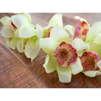 EUROPALMS Τεχνητό κλαδί ορχιδέας Cymbidium, Πράσινο, 90cm 82530313