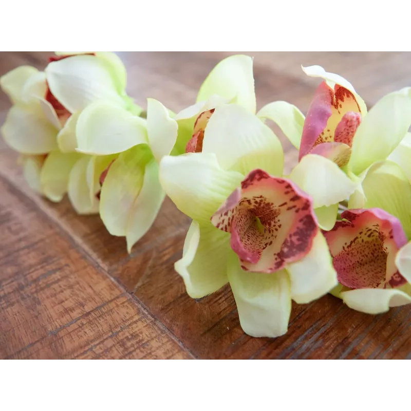 EUROPALMS Τεχνητό κλαδί ορχιδέας Cymbidium, Πράσινο, 90cm 82530313