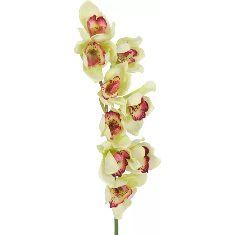 EUROPALMS Τεχνητό κλαδί ορχιδέας Cymbidium, Πράσινο, 90cm 82530313
