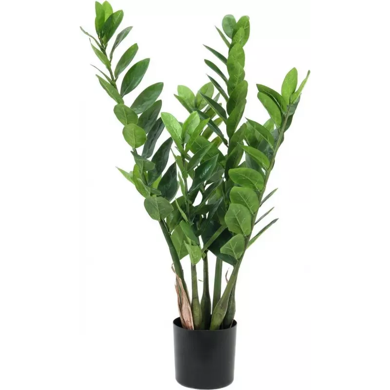 EUROPALMS Zamifolia Τεχνητό φυτό ZZ, 70 cm, Μαύρη γλάστρα 82600153
