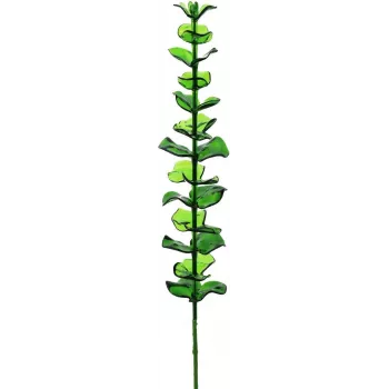 EUROPALMS Crystal Ευκάλυπτος τεχνητό φυτό, Πράσινο, 81cm, 12 μίσχοι 82600200