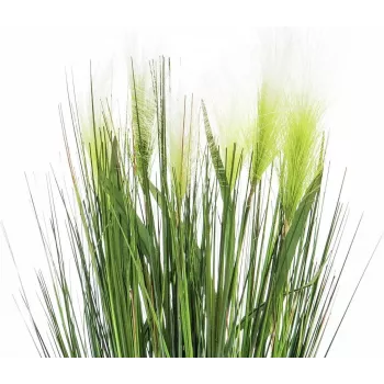 EUROPALMS Τεχνητό φυτό Federngras, Λευκό, 60cm 82505864