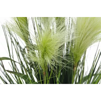 EUROPALMS Τεχνητό φυτό Federngras, Λευκό, 60cm 82505864
