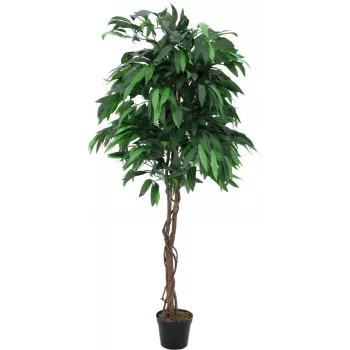 EUROPALMS Τεχνητό δέντρο ζούγκλας μάνγκο, 180 cm 82506726