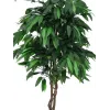 EUROPALMS Τεχνητό δέντρο ζούγκλας μάνγκο, 180 cm 82506726