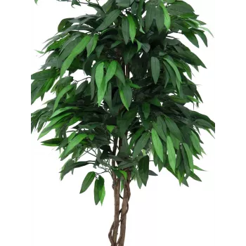 EUROPALMS Τεχνητό δέντρο ζούγκλας μάνγκο, 180 cm 82506726