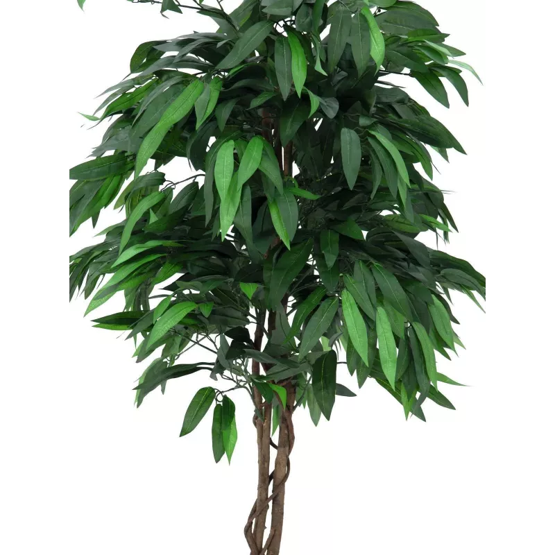 EUROPALMS Τεχνητό δέντρο ζούγκλας μάνγκο, 180 cm 82506726