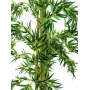 EUROPALMS Τεχνητό φυτό μπαμπού πολλαπλών στελεχών, 150cm 82509235