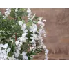 EUROPALMS Τεχνητό δέντρο Goldregen, λευκά άνθη, 180cm 82507106