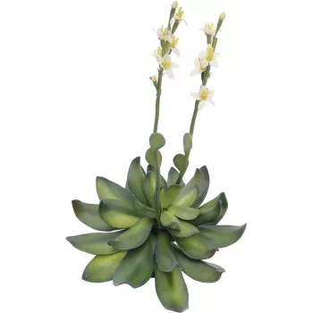 EUROPALMS Stone Rose (EVA) Τεχνητό φυτό, Κίτρινο, 32cm 82530573