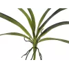 EUROPALMS Τεχνητό φύλλο ορχιδέας (EVA), Πράσινο, 45cm 82530574