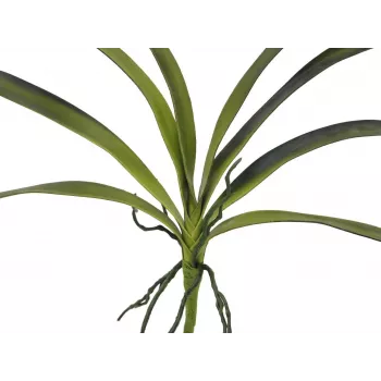 EUROPALMS Τεχνητό φύλλο ορχιδέας (EVA), Πράσινο, 45cm 82530574