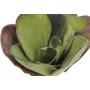 EUROPALMS Τεχνητό νούφαρο (EVA), Κλειστό, Πράσινο, 45cm 82530575