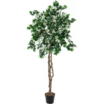 EUROPALMS Τεχνητό φυτό Bougainvillea, Λευκό, 180 cm 82507086