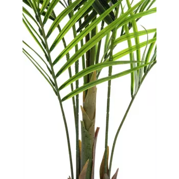 EUROPALMS Τεχνητό φυτό Areca μεγάλων φύλλων, 165cm 82509441