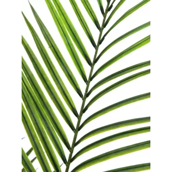 EUROPALMS Τεχνητό φυτό Areca μεγάλων φύλλων, 165cm 82509441