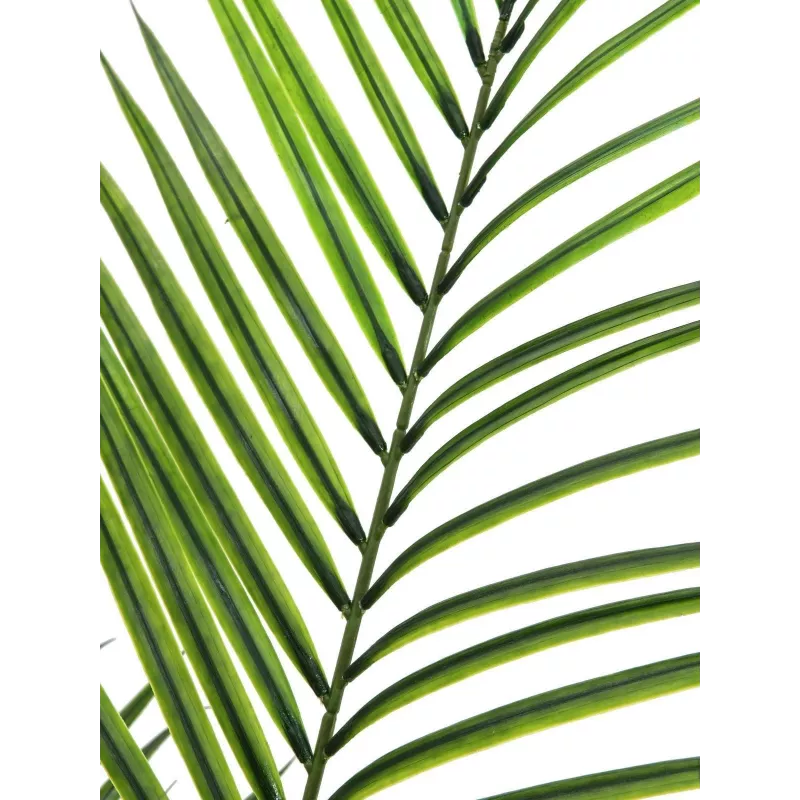 EUROPALMS Τεχνητό φυτό Areca μεγάλων φύλλων, 165cm 82509441